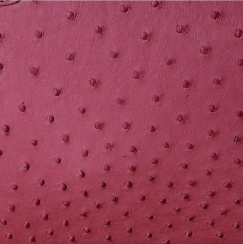 Sophia Mini Ostrich Leather Bag