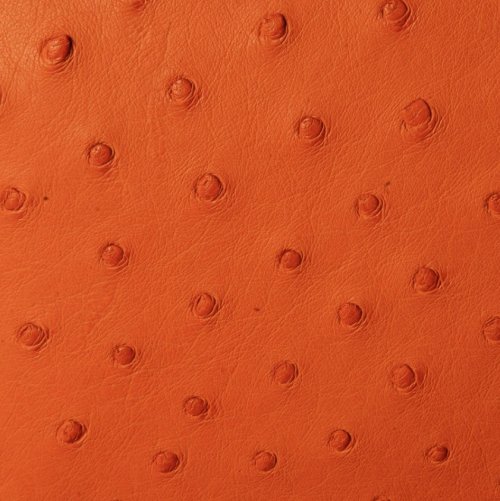 Sophia Mini Ostrich Leather Bag