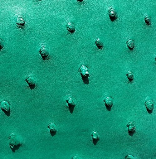 Sophia Mini Ostrich Leather Bag