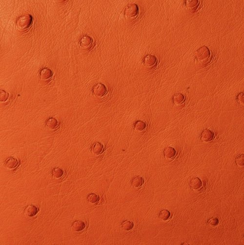 Jemma Ostrich Leather Handbag