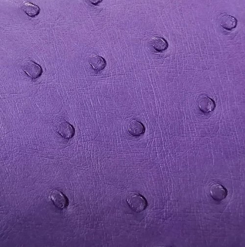 Jemma Ostrich Leather Handbag