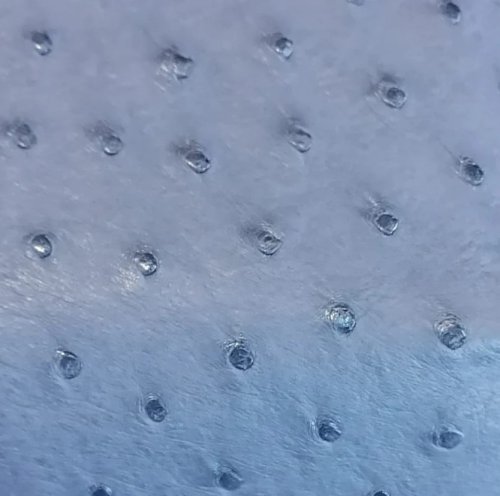 Jemma Ostrich Leather Handbag