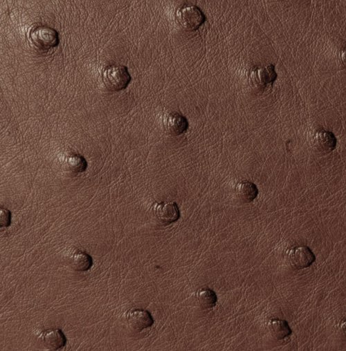 Jemma Ostrich Leather Handbag