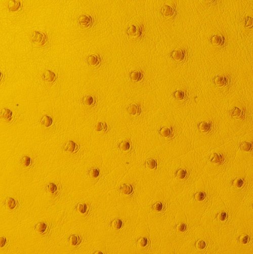 Jemma Ostrich Leather Handbag