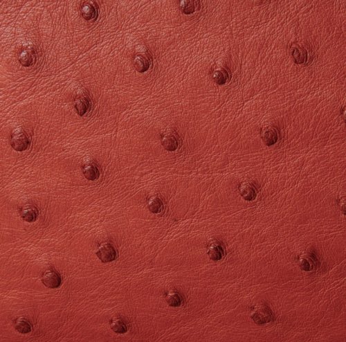 Jemma Ostrich Leather Handbag