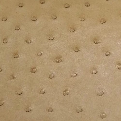 Jemma Ostrich Leather Handbag