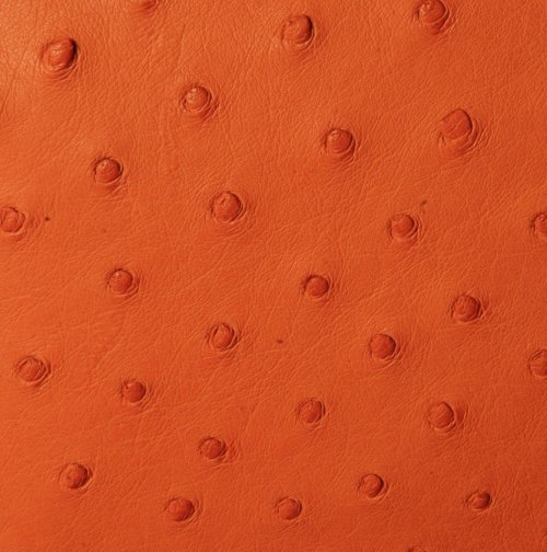 Mandy Ostrich Leather Handbag