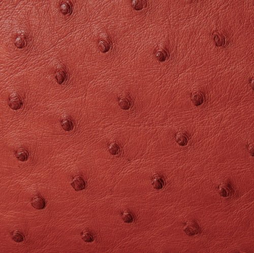 Mandy Ostrich Leather Handbag