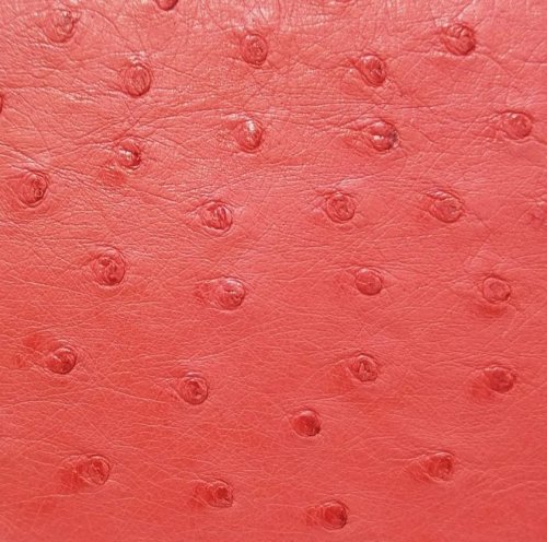 Mandy Ostrich Leather Handbag