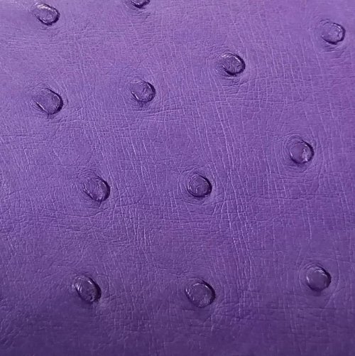 Mandy Ostrich Leather Handbag