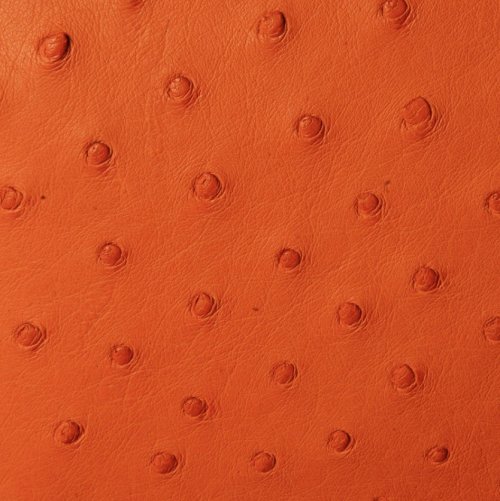 Sumaya Ostrich Leather Handbag