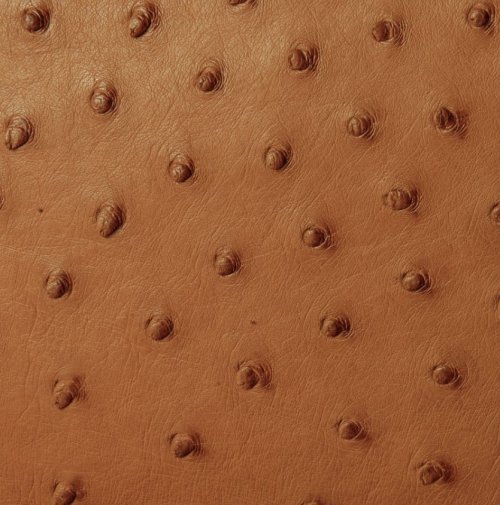 Sumaya Ostrich Leather Handbag