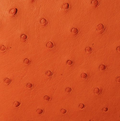 Anathi Ostrich Leather Bag