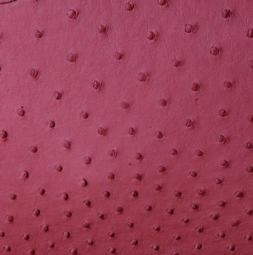 Anathi Ostrich Leather Bag