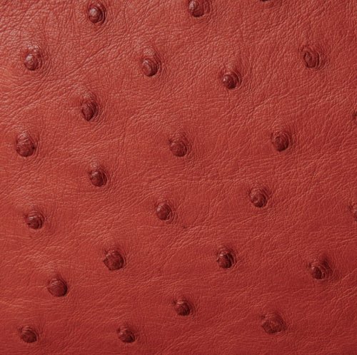 Anathi Ostrich Leather Bag