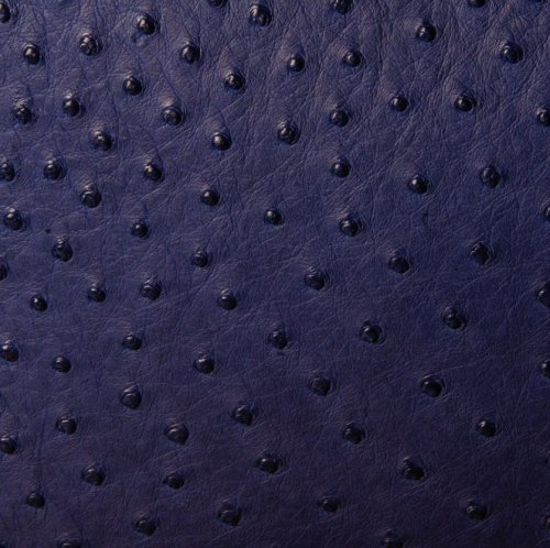 Anathi Ostrich Leather Bag