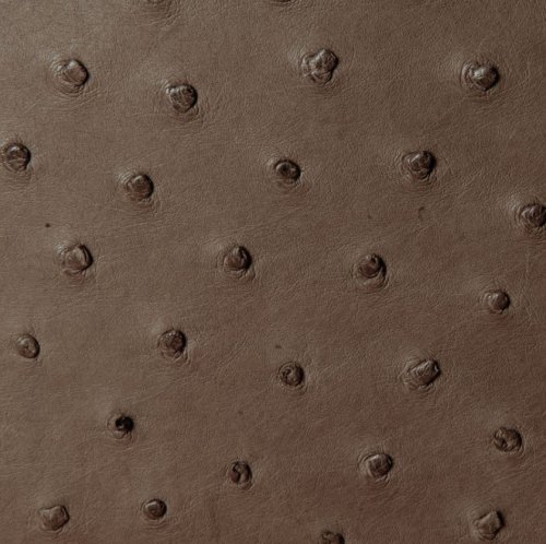 Anathi Ostrich Leather Bag