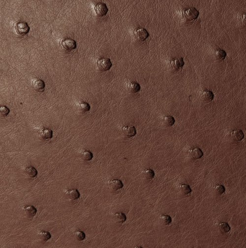 Anathi Ostrich Leather Bag