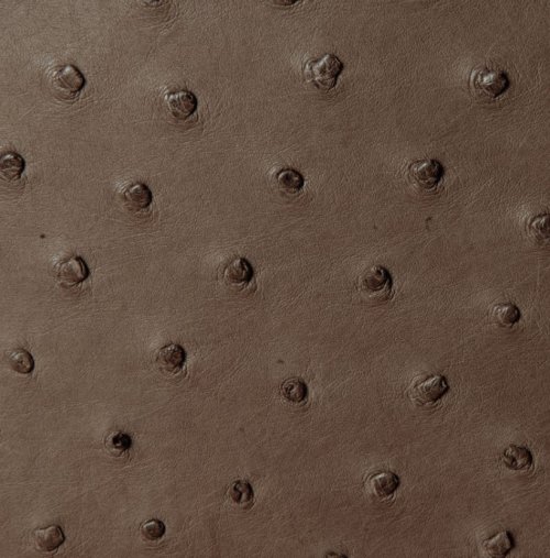 Victoria Ostrich Leather Handbag