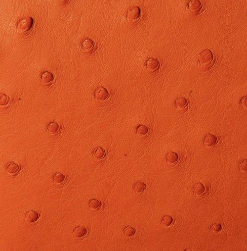 Victoria Ostrich Leather Handbag