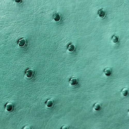 Victoria Ostrich Leather Handbag