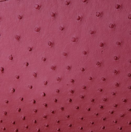 Victoria Ostrich Leather Handbag