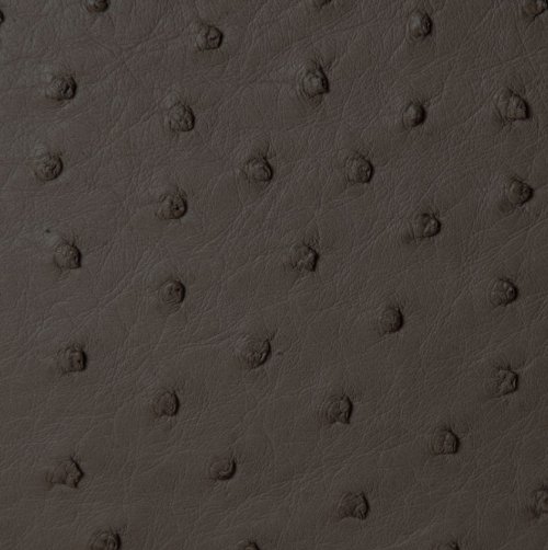 Victoria Ostrich Leather Handbag