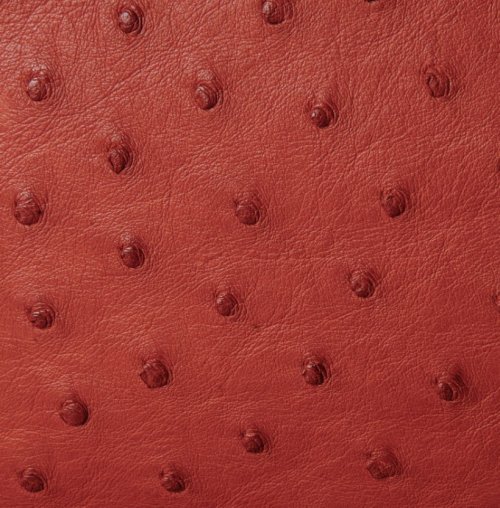 Victoria Ostrich Leather Handbag