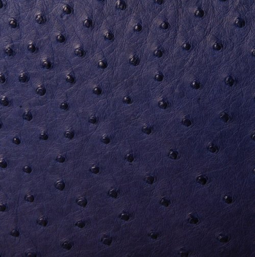 Victoria Ostrich Leather Handbag