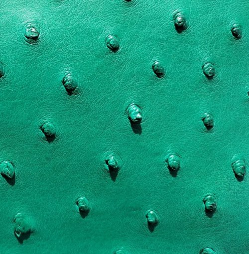 Victoria Ostrich Leather Handbag