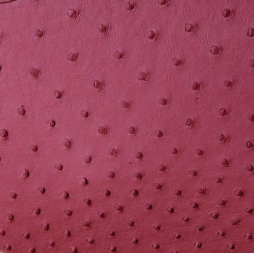 Zoe Ostrich Leather Sling Bag