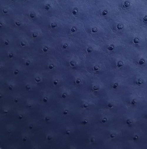 Zoe Ostrich Leather Sling Bag