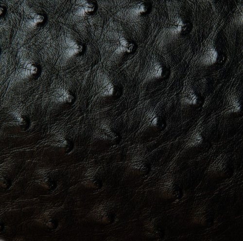 Zoe Ostrich Leather Sling Bag