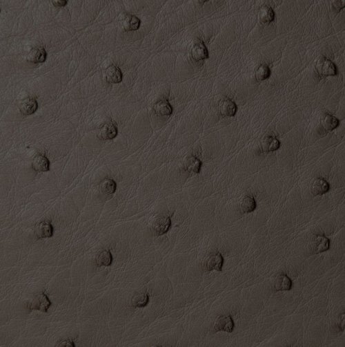 Zoe Ostrich Leather Sling Bag