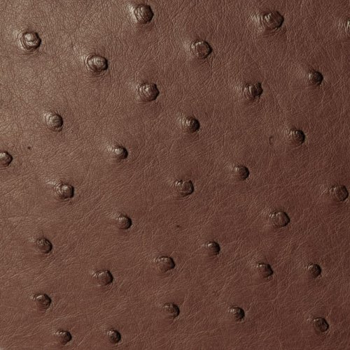 Zoe Ostrich Leather Sling Bag