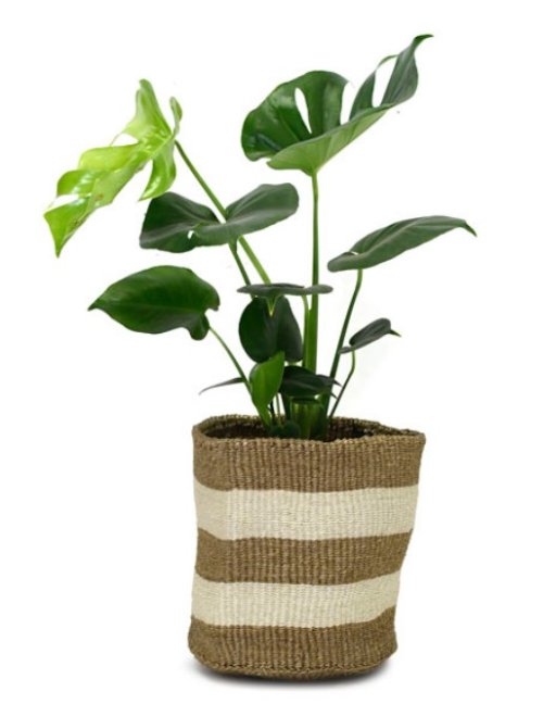 Kenyan Planter Basket