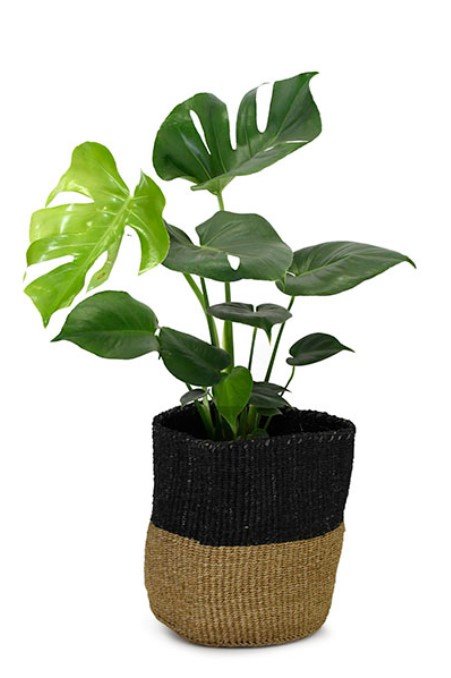 Kenyan Planter Basket
