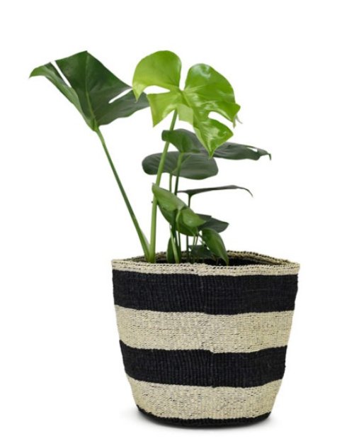 Kenyan Planter Basket
