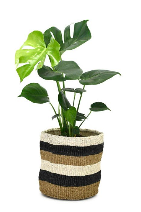 Kenyan Planter Basket