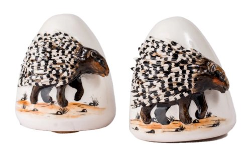 Porcupine Salt and Pepper Shaker Set