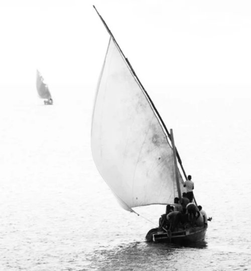 Rolled Canvas Prints