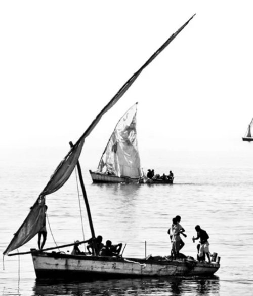 Rolled Canvas Prints