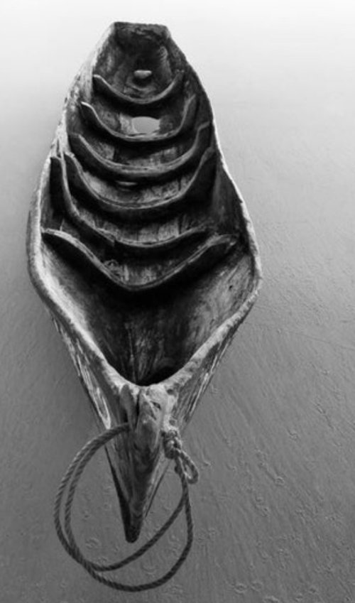 Rolled Canvas Prints