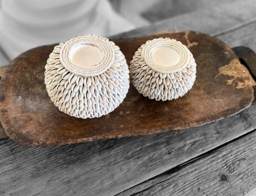 Off White Cowrie Shell Tea Lights - 4" x 5"