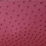 Sophia Mini Ostrich Leather Bag