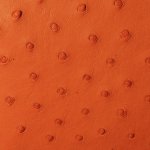 Sophia Mini Ostrich Leather Bag