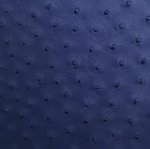 Sophia Mini Ostrich Leather Bag