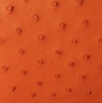 Jemma Ostrich Leather Handbag