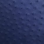 Jemma Ostrich Leather Handbag