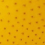 Jemma Ostrich Leather Handbag